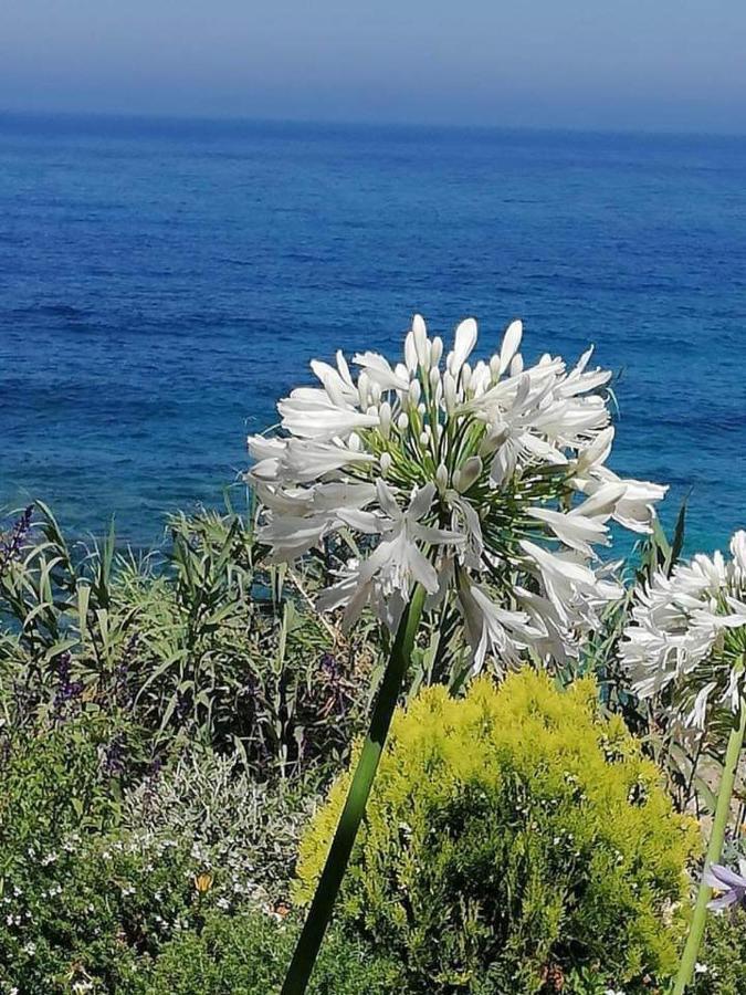 Ikaria Village-Ground Floor Apartment No 4 Klorakas Exterior foto